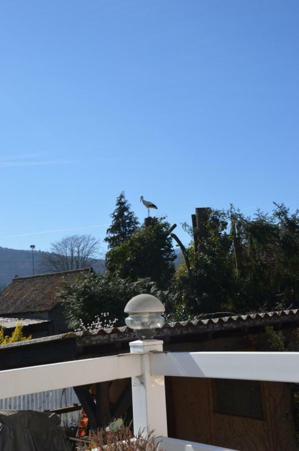Gite Les Glycines 68230 Turckheim Bagian luar foto